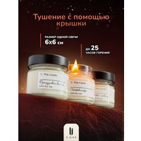 Набор свечей U.NITE UN70_kit в Бобруйске