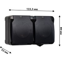 Розетка SmartBuy Сатурн SBE-04b-16-S2-Z