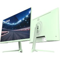 Игровой монитор Digma Overdrive 24P410F (мятный)