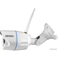 IP-камера Ginzzu HWB-1031X