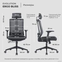 Кресло Evolution ERGO BLISS Black (черный) в Гродно