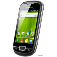 Смартфон Samsung S5570 Galaxy Mini