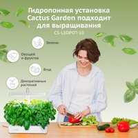 Умный сад CACTUS CS-LEDPOT-10