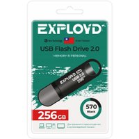 USB Flash Exployd 570 256GB (черный)