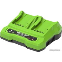 Зарядное устройство Greenworks G24X2UC2 (2x24В)