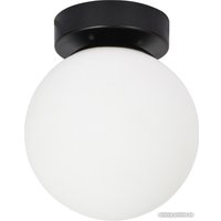 Светильник Arte Lamp Alcor A2224PL-1BK