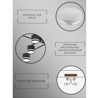 Припотолочная люстра Aitin Pro X4512/8 (черный)