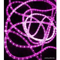 Дюралайт Rich Led 3-проводной RL-DL-3W-100-240-M 13мм (мульти)