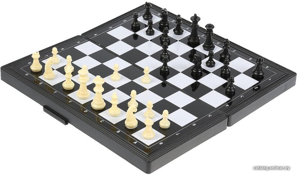 Шахматы/шашки/нарды Играем вместе S20397295