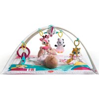 Развивающий коврик Tiny Love Tiny Princess Tales Gymini Deluxe 3333120551