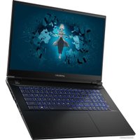 Игровой ноутбук Colorful Evol X17 Pro Max A10003400459