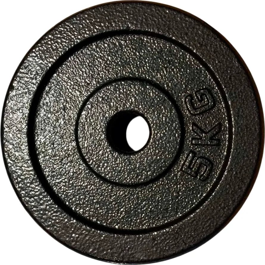 

Диск ZEZ Sport DK-5 (окрашенный)