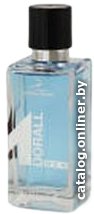 Туалетная вода Dorall Collection M Dorall Men EdT (100 мл)