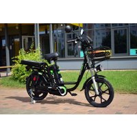 Электровелосипед Terax DVINA LITE NS011