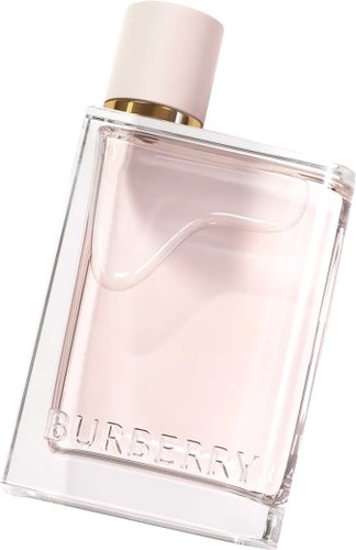 Парфюмерная вода Burberry Her EdP (100 мл)