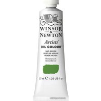 Масляные краски Winsor & Newton Artists Oil 1214599 (37 мл, зеленая крушина)