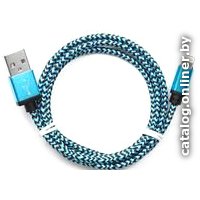 Кабель Cablexpert CC-ApUSB2bl1m