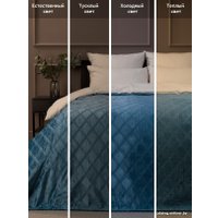 Плед Tex Republic Elite Клетка Фланель Евро 93389 (синий)