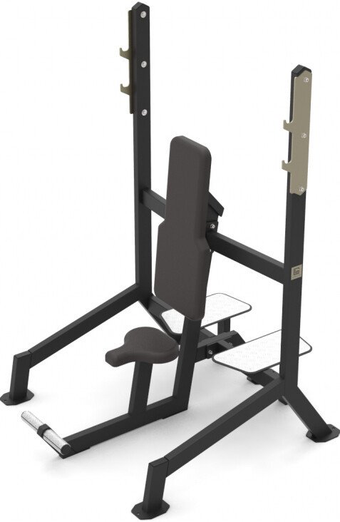 Скамья для жима штанги LEGENDGYM VB 208-01