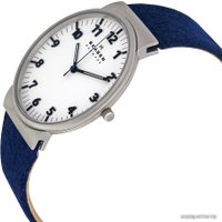 Наручные часы Skagen SKW6098