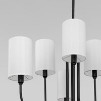 Подвесная люстра Евросвет 60164/6 (черный)