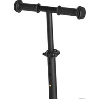 Двухколесный детский самокат Shulz ANT (черный)