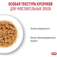 Консервированный корм для кошек Royal Canin Ageing 11+ in Jelly кусочки в желе 12x85 г