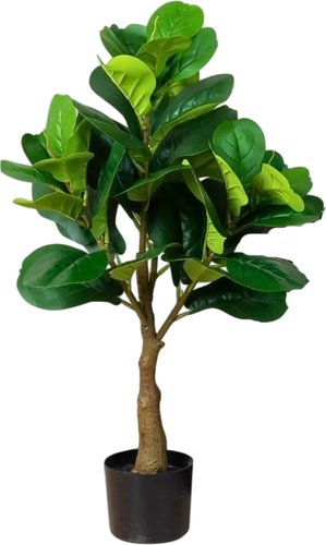 Искусственное растение Merry Bear Home Decor Фикус Лировидный A600090