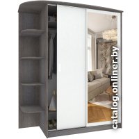 Шкаф-купе Кортекс-мебель Лагуна ШК05-01 левая консоль (береза/белый)