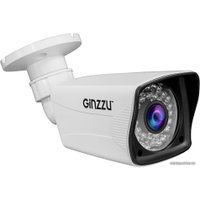 CCTV-камера Ginzzu HAB-2036P