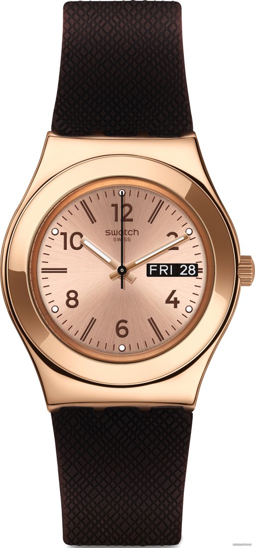 Наручные часы Swatch Irony YLG701