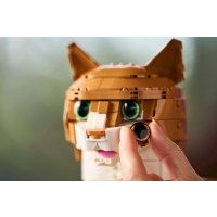 Конструктор LEGO Ideas 21376 Рыжий кот