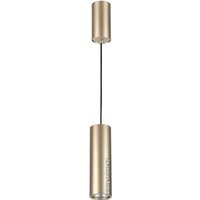 Подвесная люстра Odeon Light Vincere 3828/1C