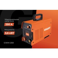 Сварочный инвертор Gigant GWM-250