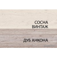 Полка Anrex MONAKO сосна винтаж/дуб анкона