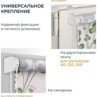 Рулонные шторы Franc Gardiner Print Клевер полевой, день 55x160 9403217841 в Орше