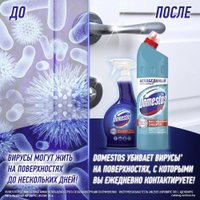 Средство универсальное Domestos Свежесть атлантики 750 мл