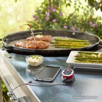 Термометр Weber 7220