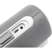 Беспроводная колонка JVC XS-E423 (серый)