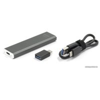 Внешний накопитель Mirex Data Master 512GB 13641-S512DM1G