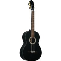 Акустическая гитара Prodipe Primera 3/4 BK