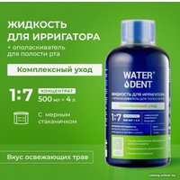 Жидкость для ирригатора Waterdent Комплексный уход + ополаскиватель для полости рта 2 в 1 500 мл