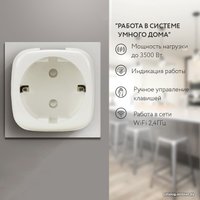 Умная розетка Ps-Link ZEU-003-16