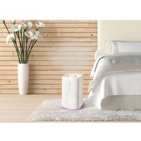 Увлажнитель воздуха Concept ZV2010