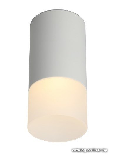 Точечный светильник Omnilux Lucido OML-100609-01