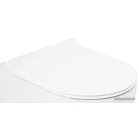 Сиденье для унитаза Cezares CZR-2011-SC