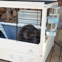 Клетка Ferplast Arena 80 57089317