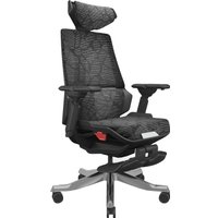 Игровое (геймерское) кресло ErgoSmart Bloodragon (черный/серебристый)