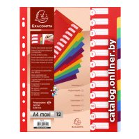 Разделитель документов Exacompta Maxi 4812E (ассорти)