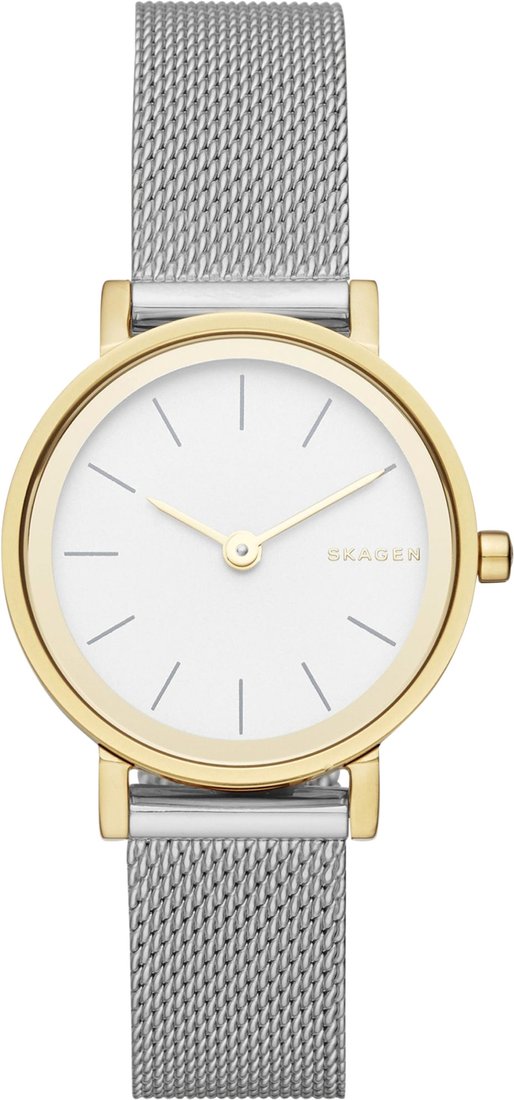 

Наручные часы Skagen SKW2445